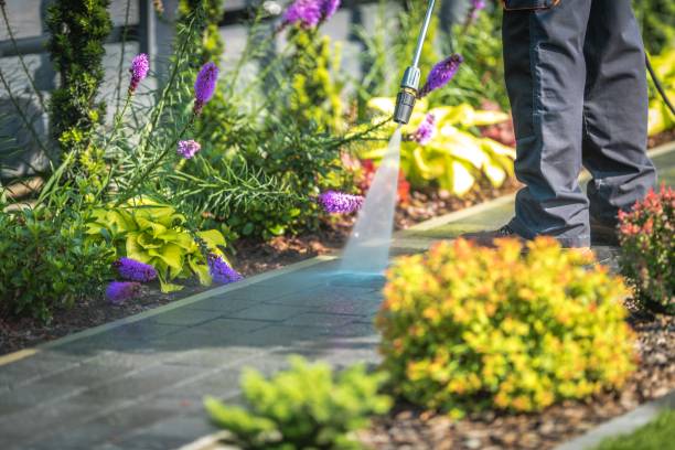 Best Winterizing Services  in Cedar Rapids, IA