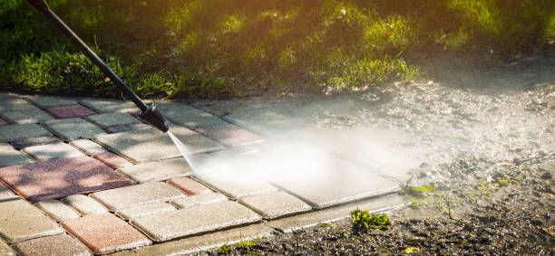 Best Fence Cleaning  in Cedar Rapids, IA