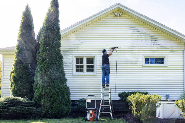 Best Driveway Pressure Washing  in Cedar Rapids, IA